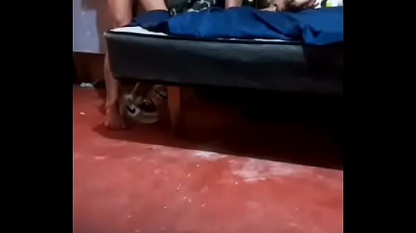 Anal  con  mi  novia  parte  2