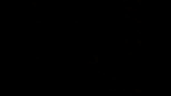 Mi mujer chupando verga