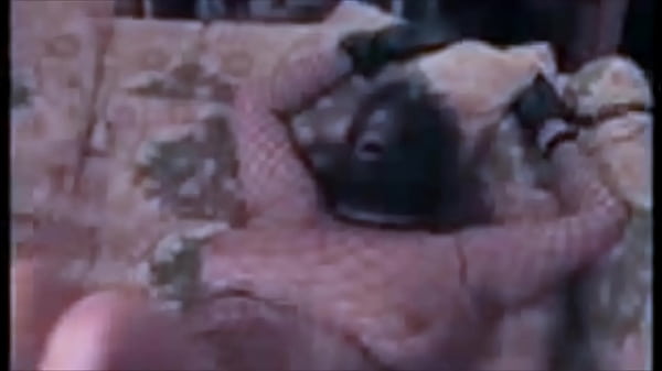 Slutwife Augusta- Bondage compilation of a mature slut